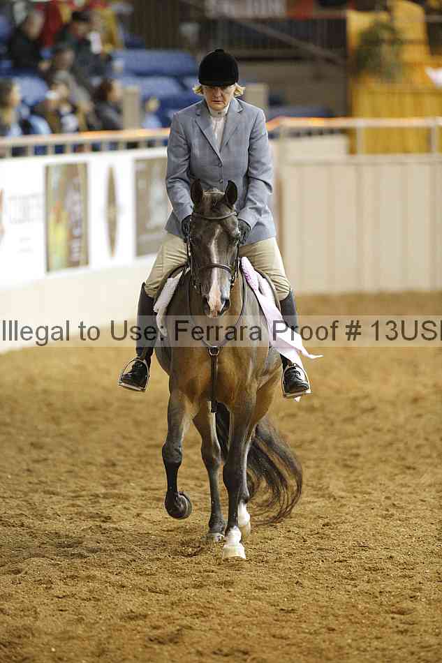 Proof Number 13usn_22205