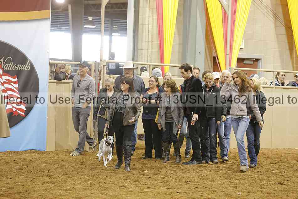 Proof Number 13usn_13462