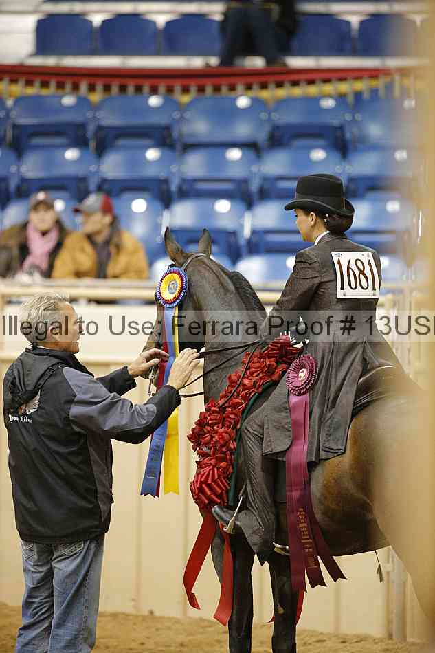 Proof Number 13usn_13491