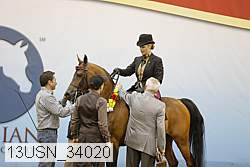 13usn_34020 thumbnail