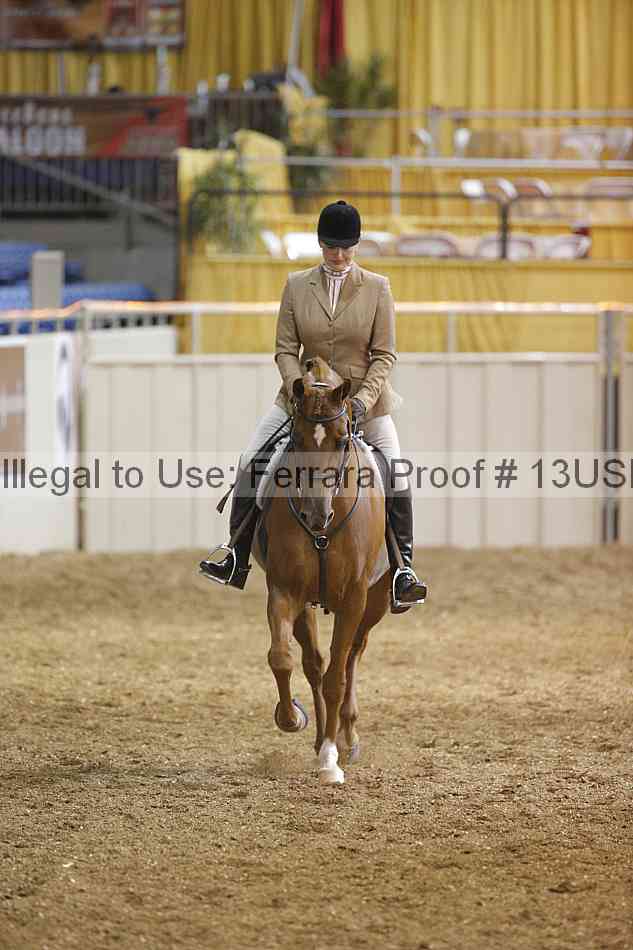 Proof Number 13usn_18584