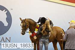 13usn_18633 thumbnail