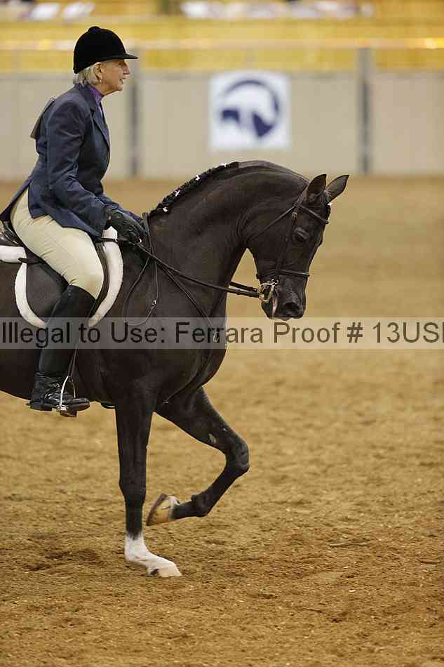Proof Number 13usn_00365