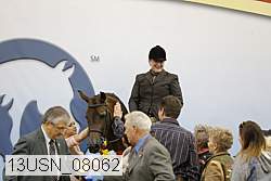 13usn_08062 thumbnail