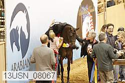 13usn_08067 thumbnail