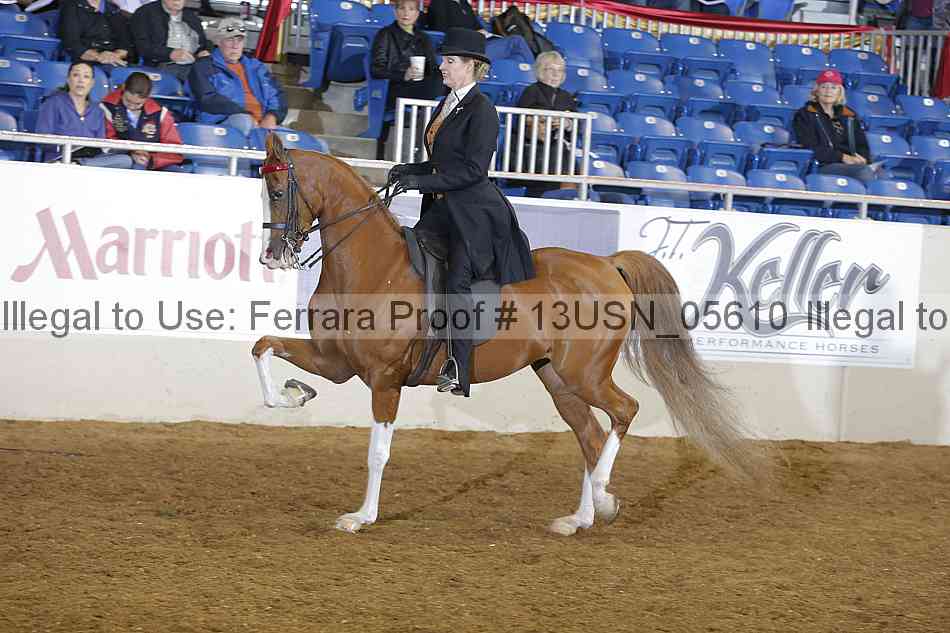 Proof Number 13usn_05610