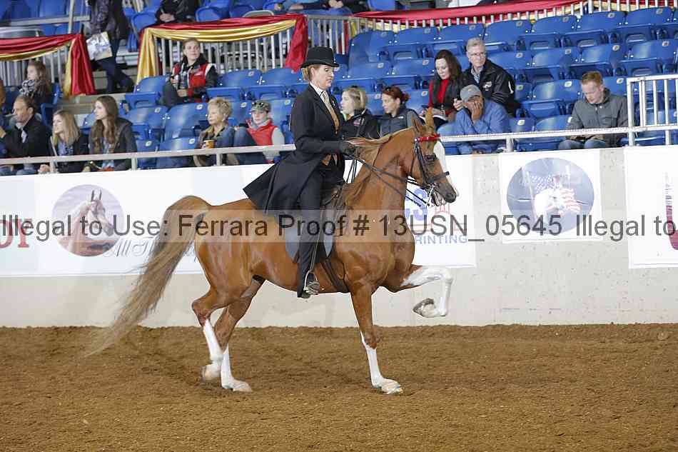 Proof Number 13usn_05645