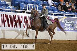 13usn_16803 thumbnail
