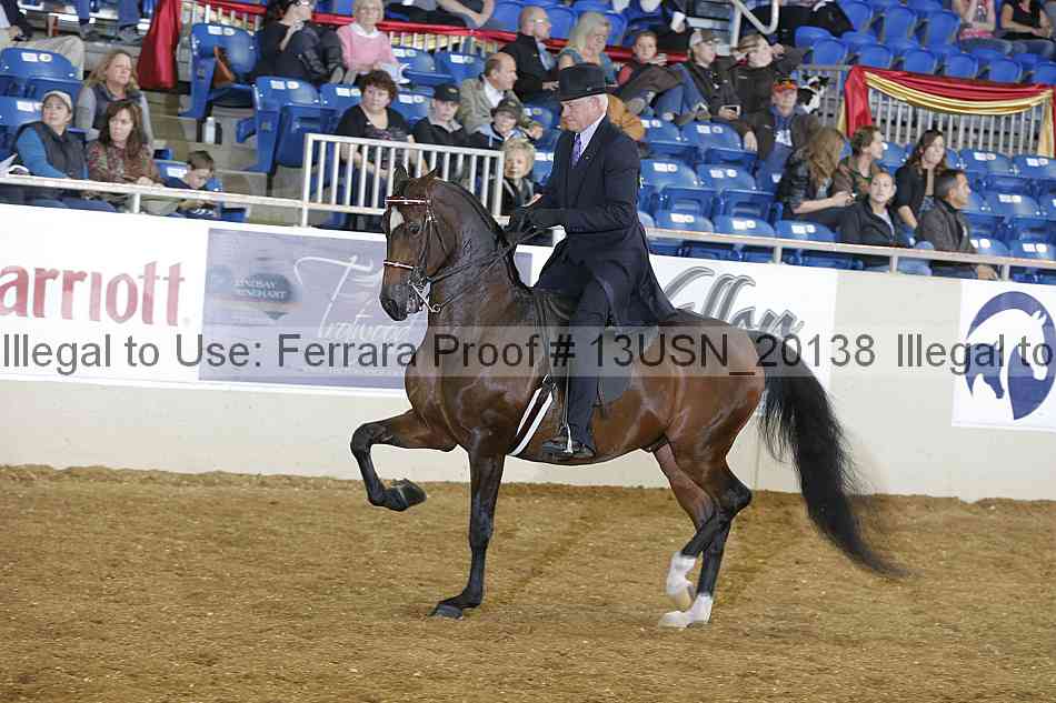 Proof Number 13usn_20138