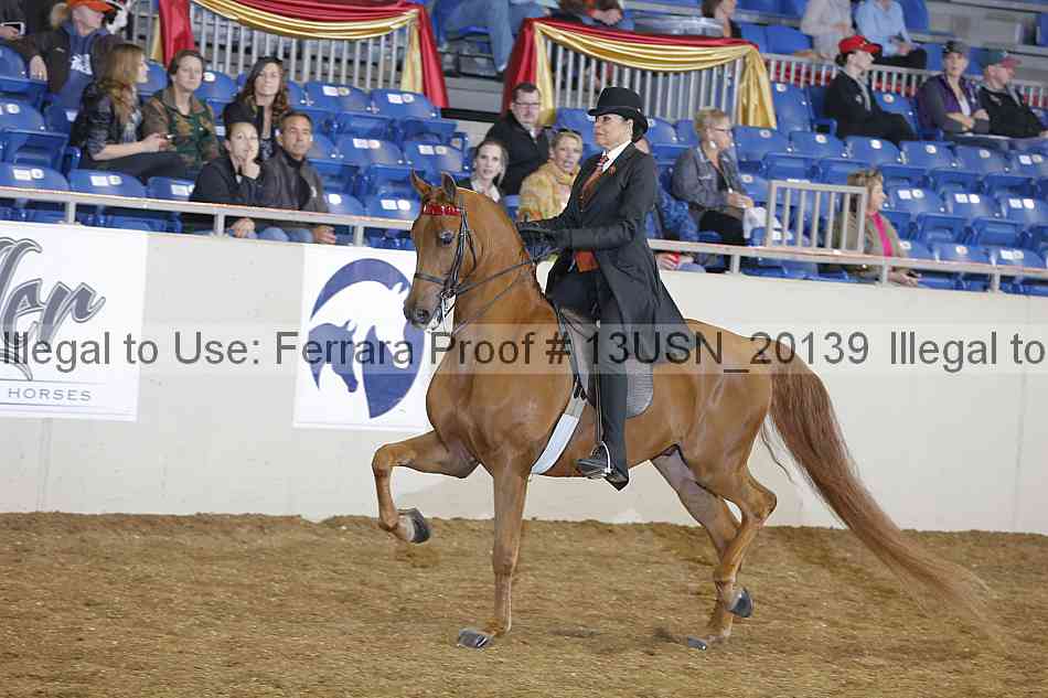 Proof Number 13usn_20139