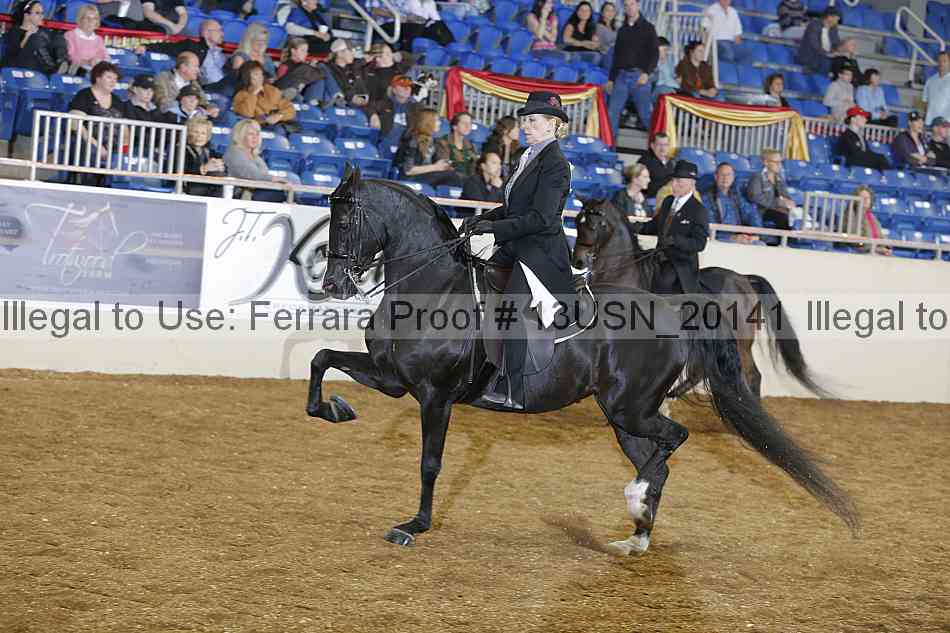 Proof Number 13usn_20141