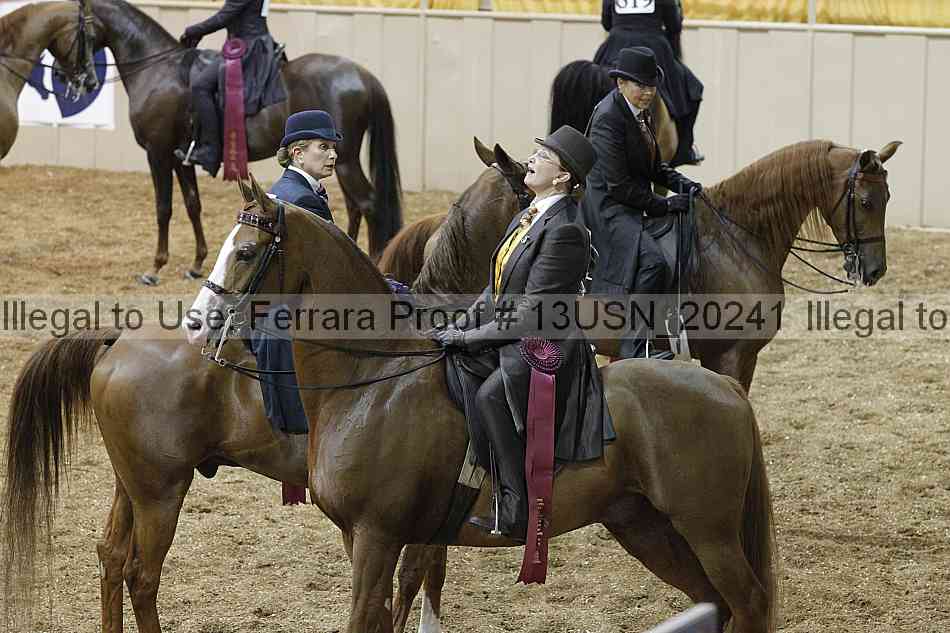 Proof Number 13usn_20241