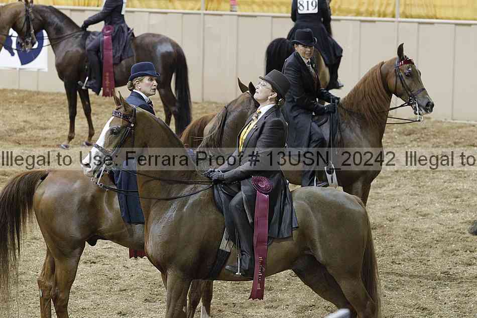 Proof Number 13usn_20242
