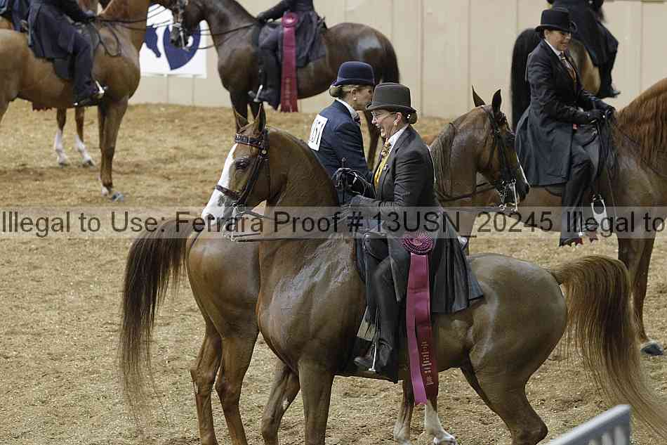 Proof Number 13usn_20245