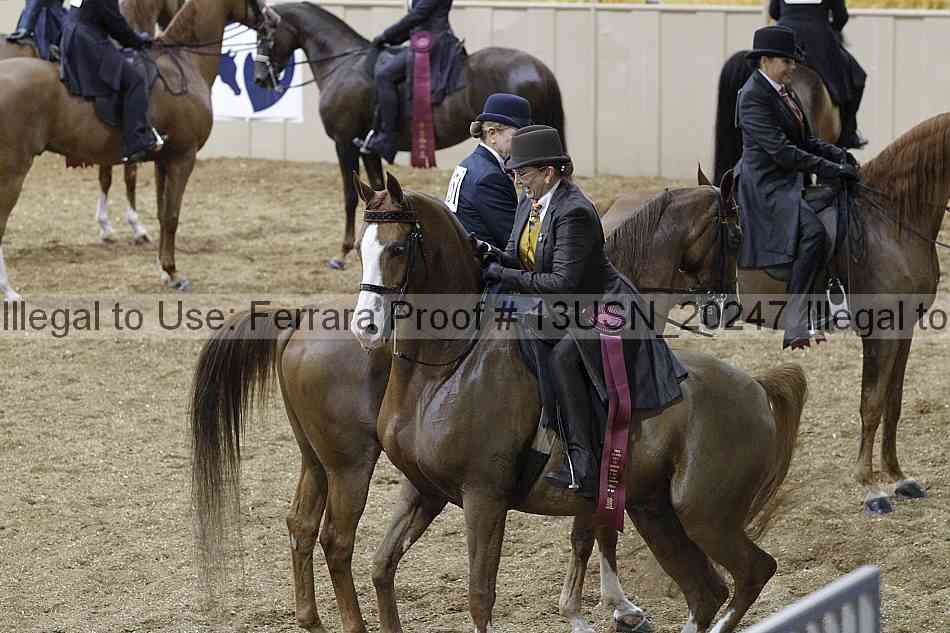 Proof Number 13usn_20247