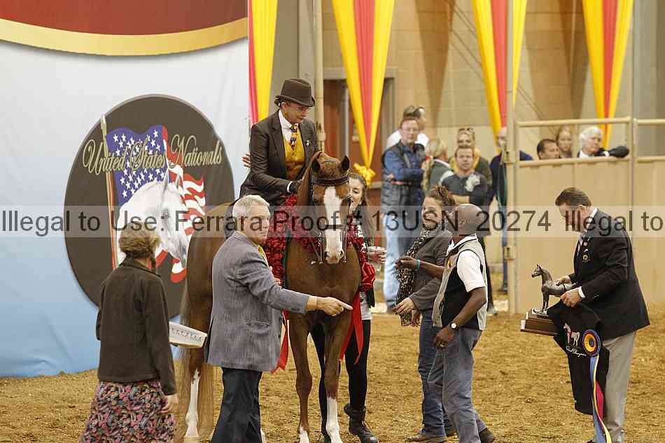 Proof Number 13usn_20274