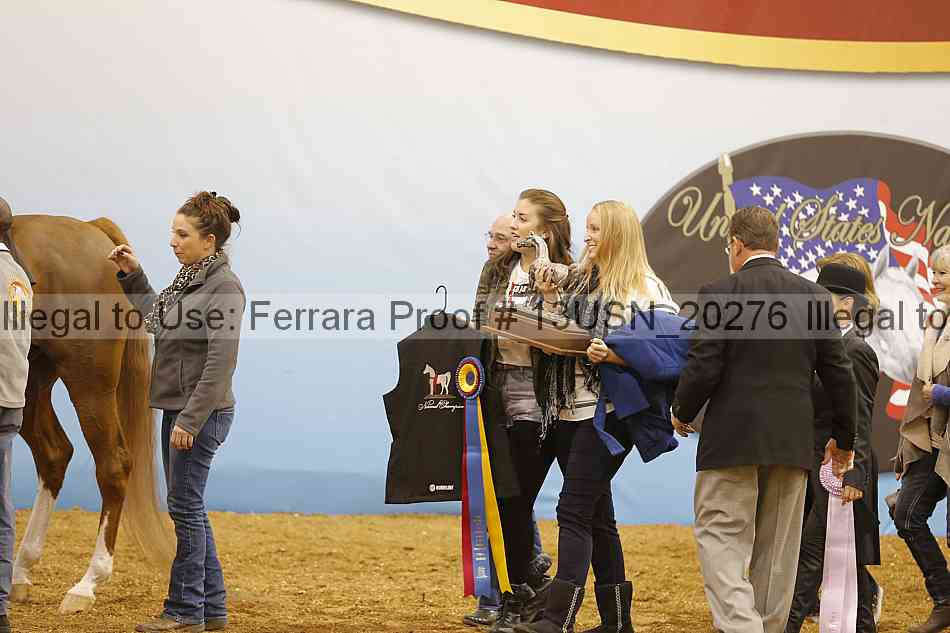Proof Number 13usn_20276