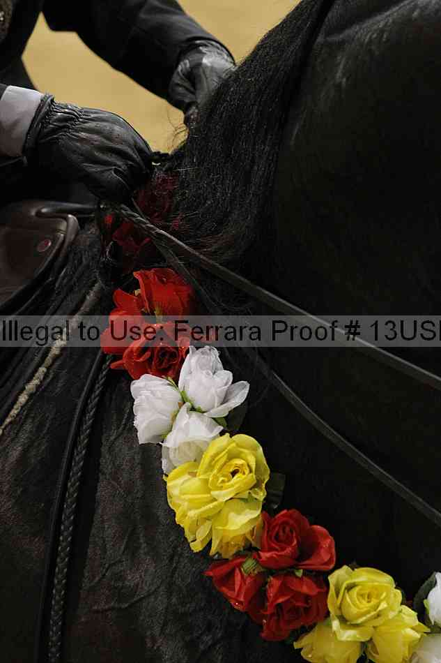 Proof Number 13usn_20279
