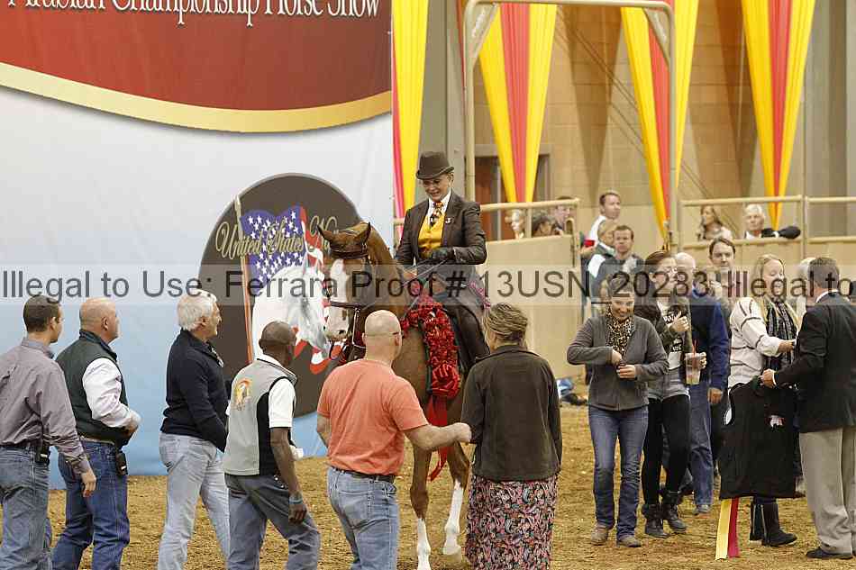 Proof Number 13usn_20283