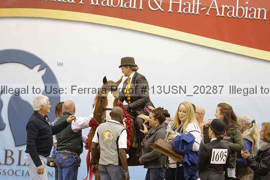 Proof Number 13usn_20287