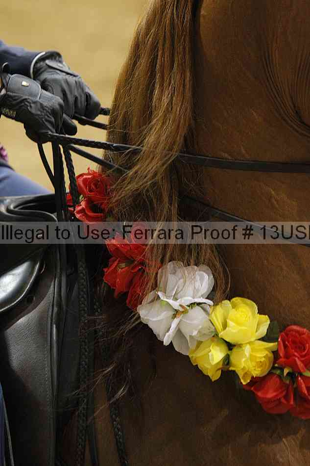 Proof Number 13usn_13671
