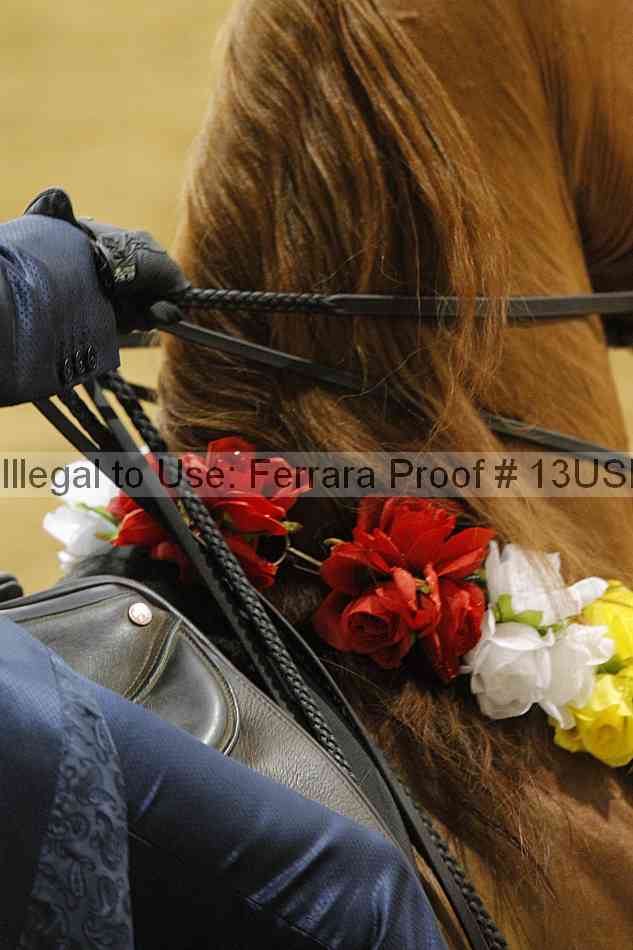 Proof Number 13usn_13672