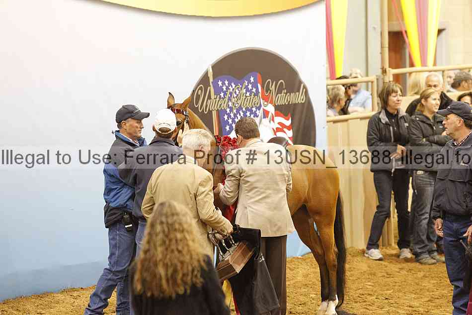 Proof Number 13usn_13688