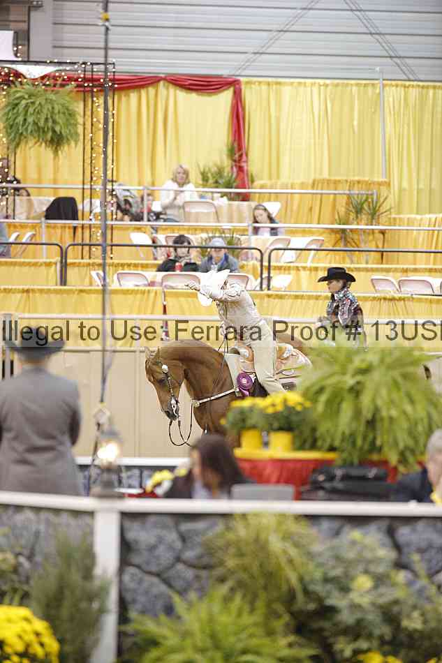 Proof Number 13usn_13031