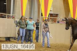 13usn_16495 thumbnail
