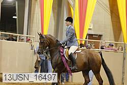 13usn_16497 thumbnail