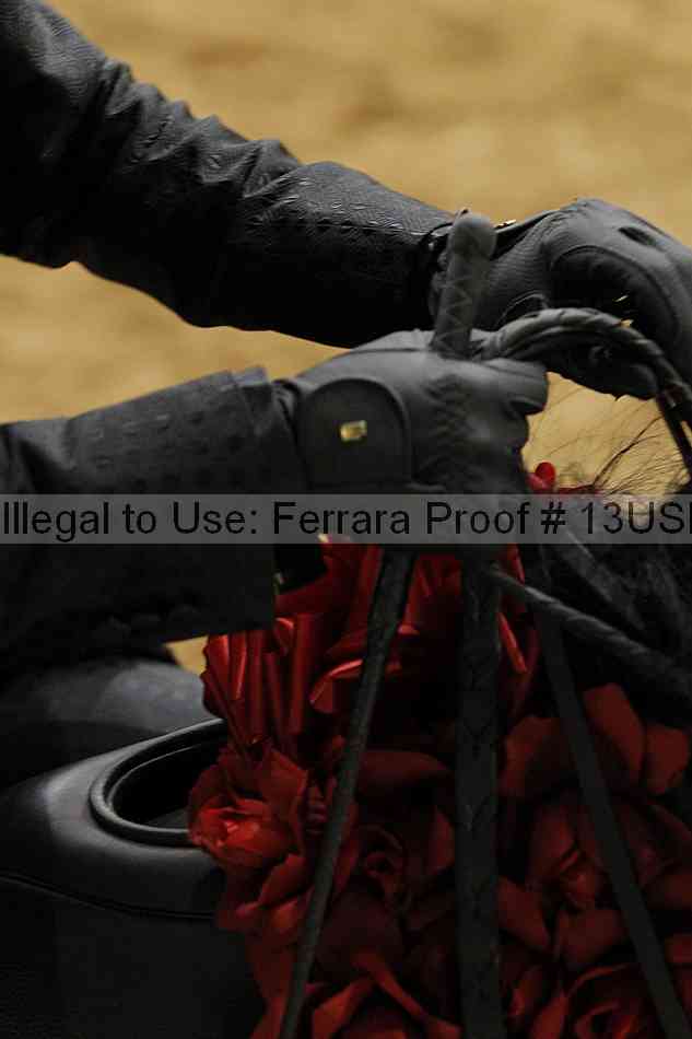 Proof Number 13usn_20621
