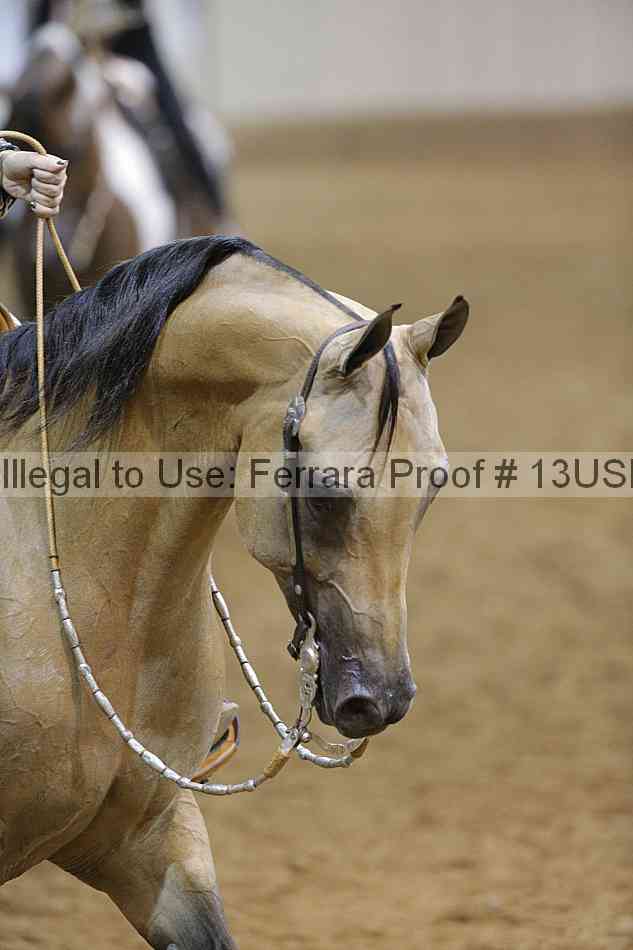 Proof Number 13usn_12585
