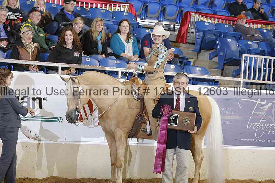 Proof Number 13usn_12603
