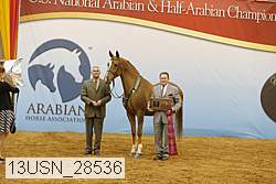 13usn_28536 thumbnail