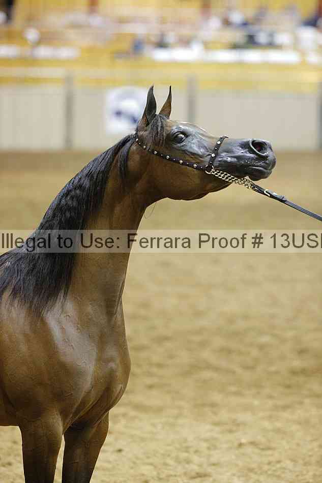 Proof Number 13usn_30680