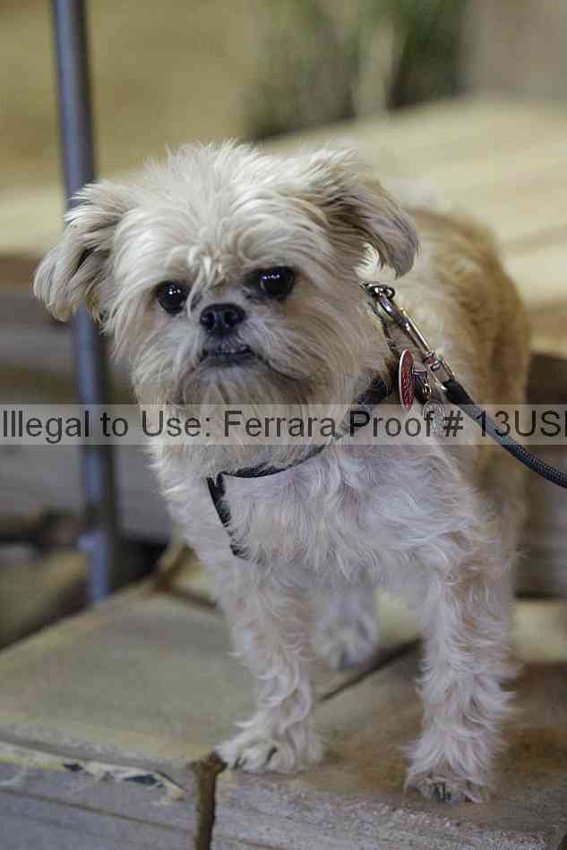 Proof Number 13usn_06481