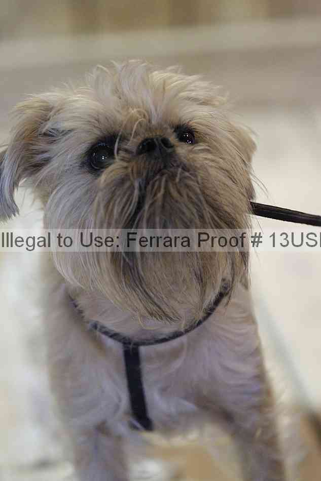 Proof Number 13usn_06482