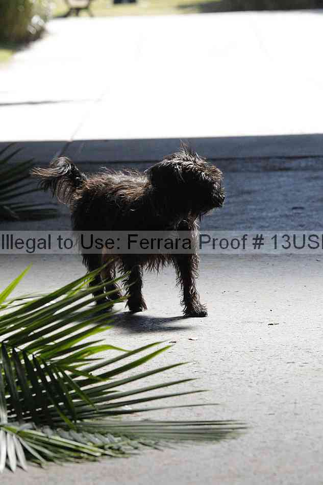 Proof Number 13usn_06499