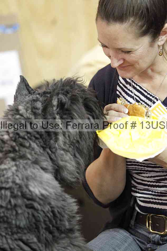 Proof Number 13usn_06505