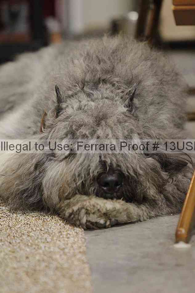 Proof Number 13usn_06541