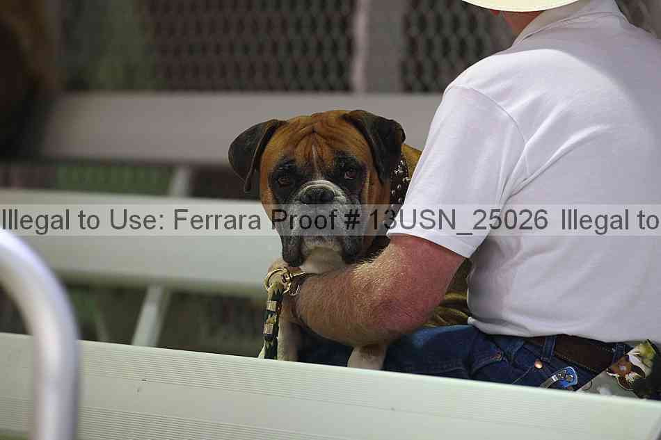 Proof Number 13usn_25026