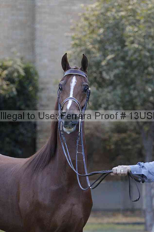 Proof Number 13usn_34391