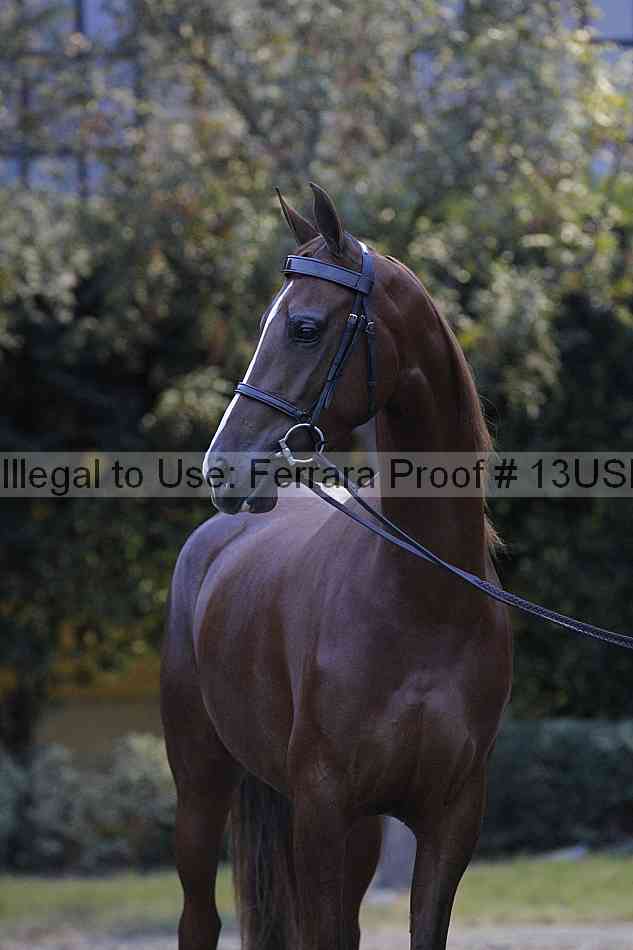 Proof Number 13usn_34392