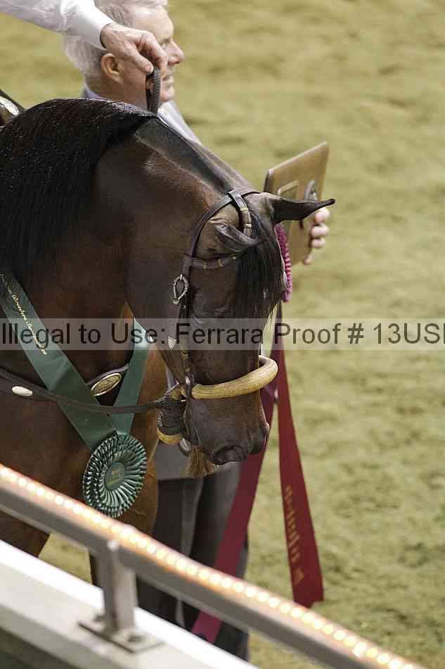 Proof Number 13usn_slideshow_30959