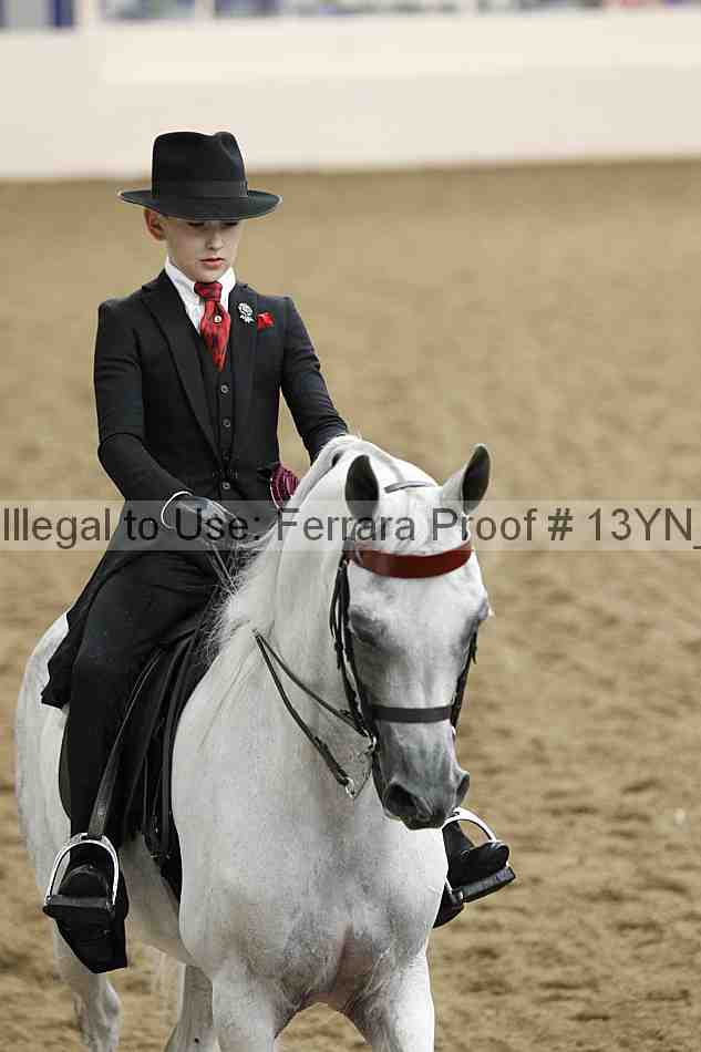 Proof Number 13yn_07104