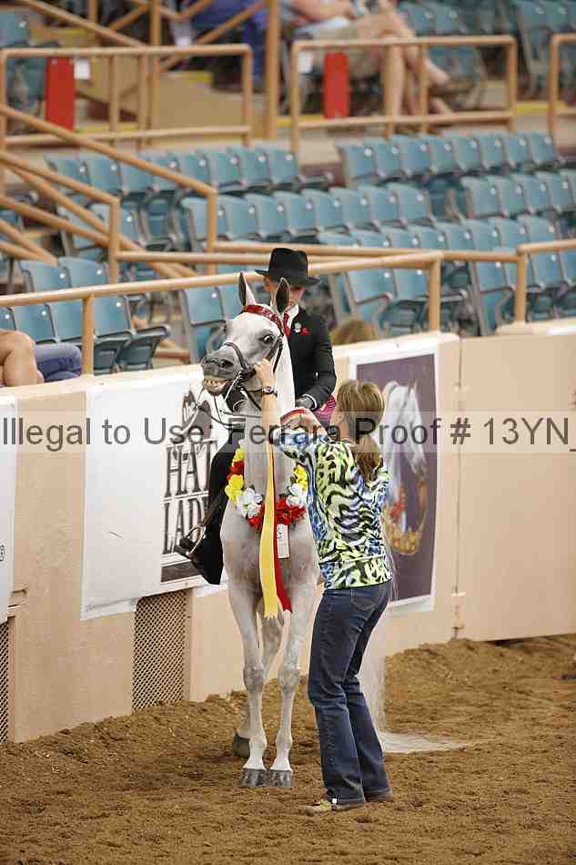 Proof Number 13yn_07115