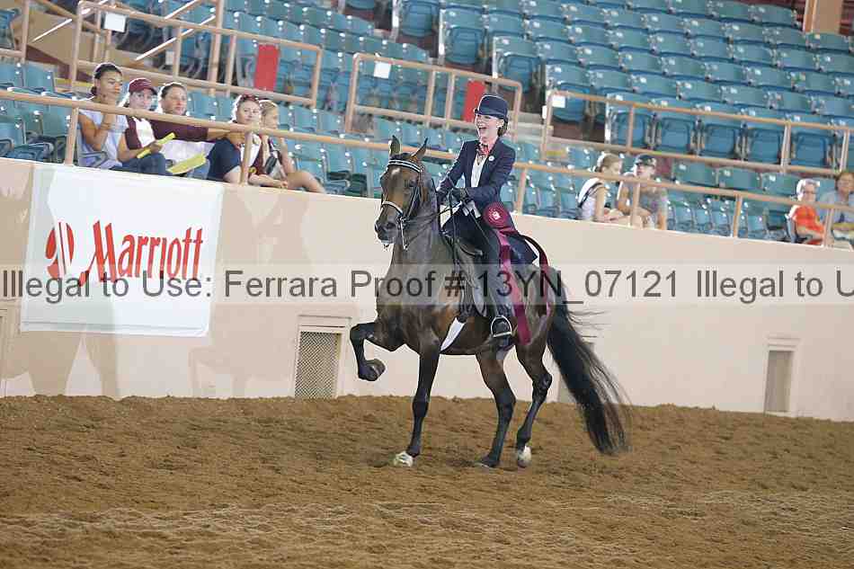 Proof Number 13yn_07121
