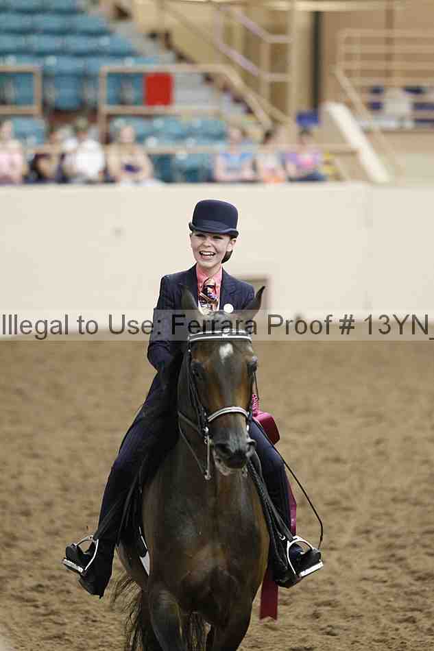 Proof Number 13yn_07126