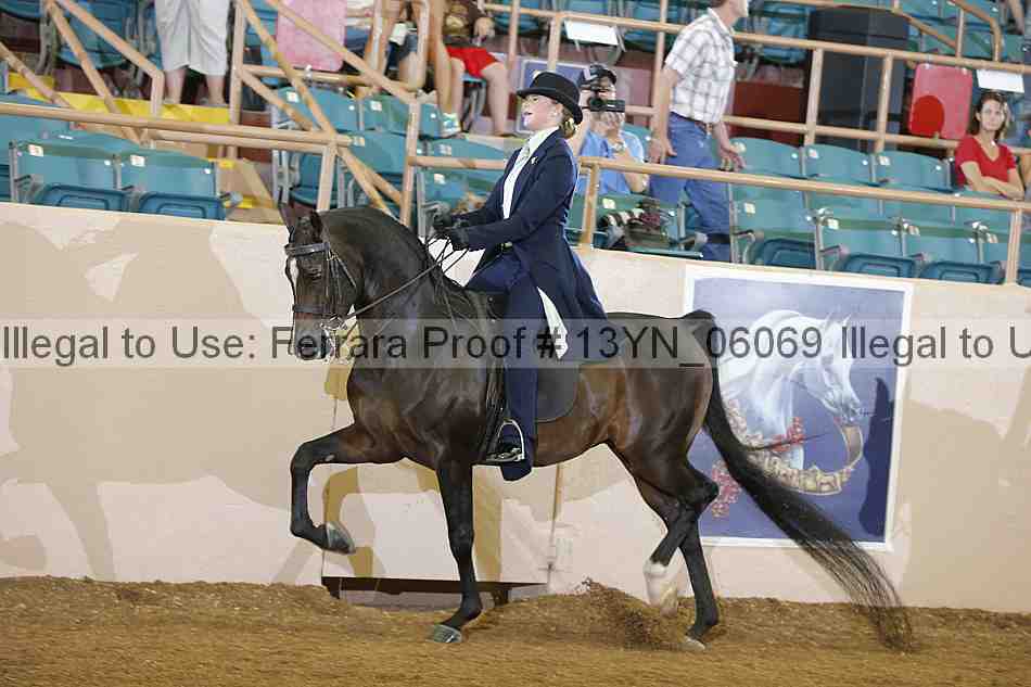 Proof Number 13yn_06069