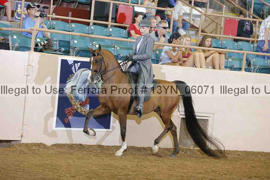 Proof Number 13yn_06071